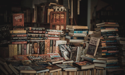 Political fiction books